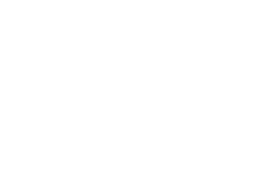 Maincubes